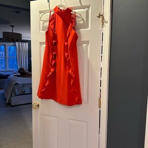 Ted Baker Vibrant Red dress with ruffles